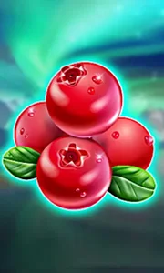 Winterberries