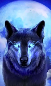 Dark Wolf