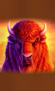 Buffalo 50